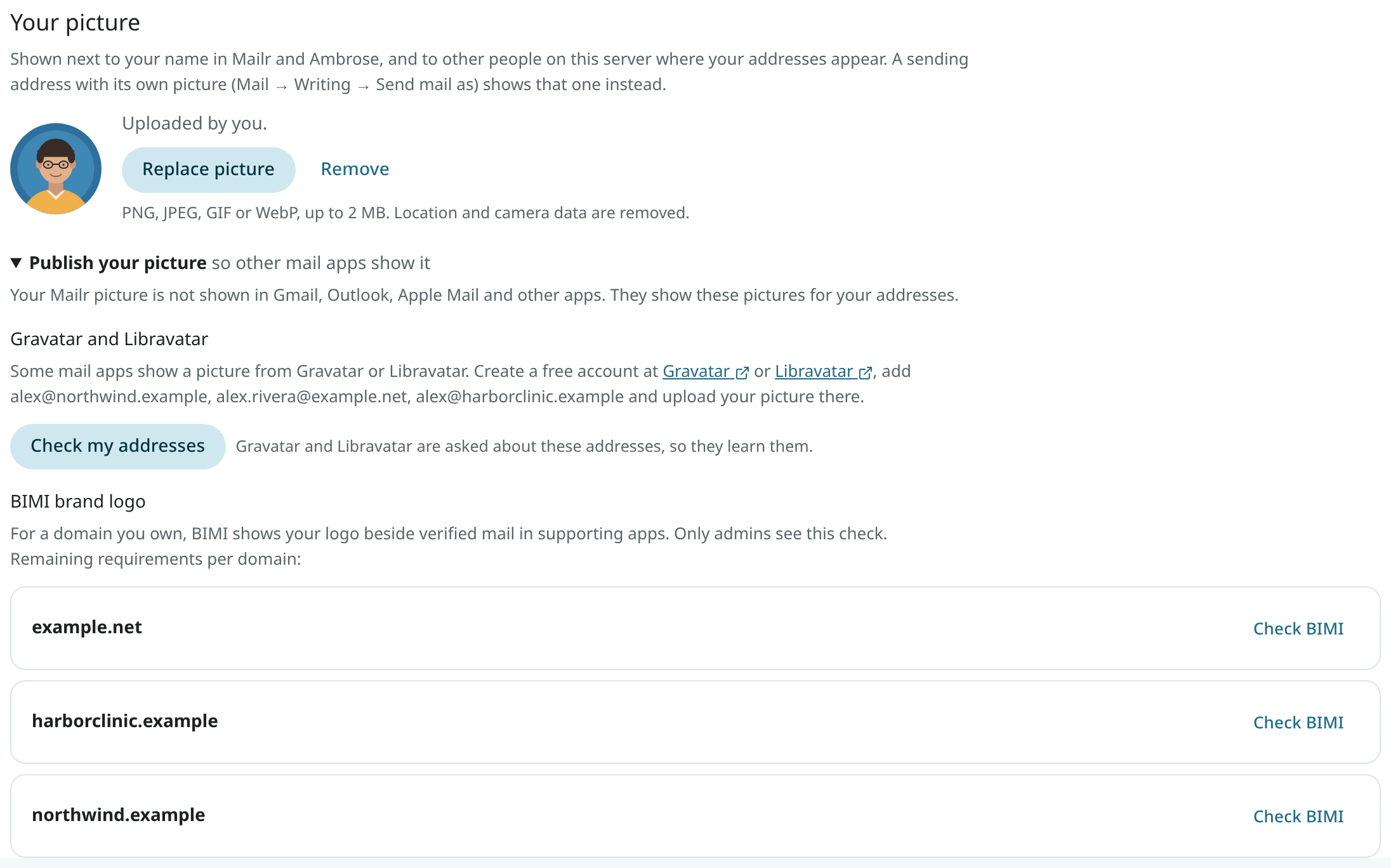Your picture in Settings, with Publish your picture open